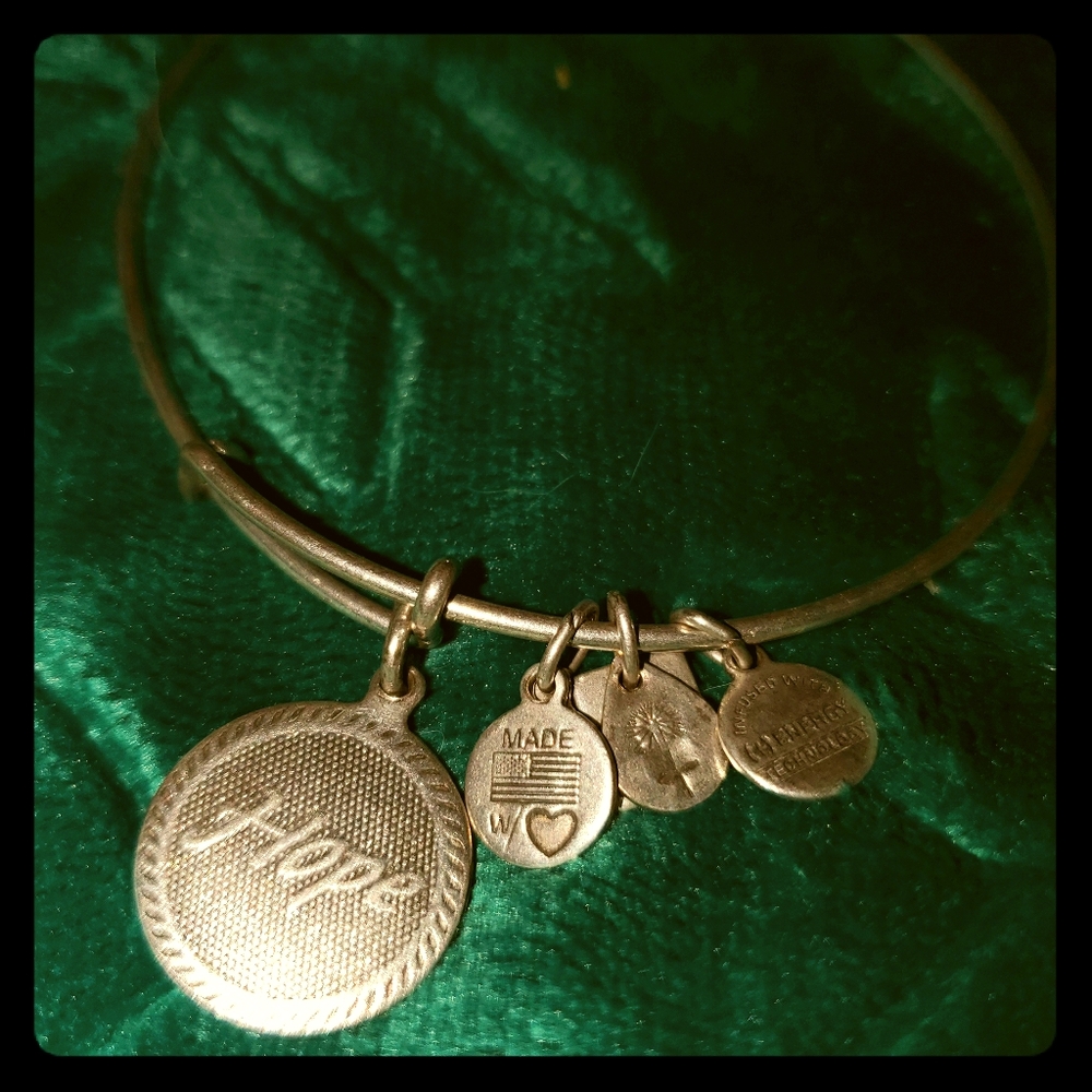 Alex & Ani charm bracelet